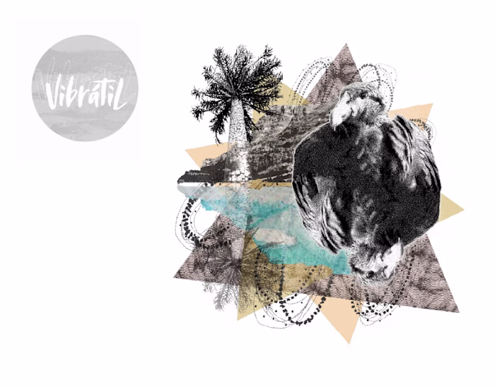 Patagonia Prints — Textile & Digital Collage