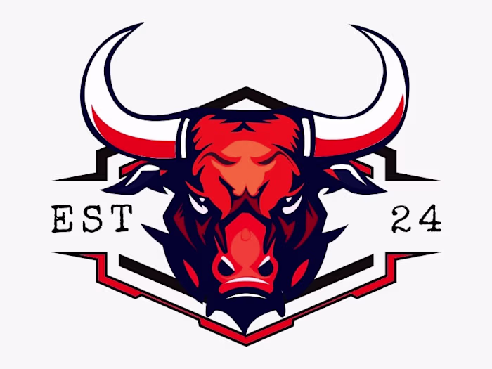 Professional Logo Design