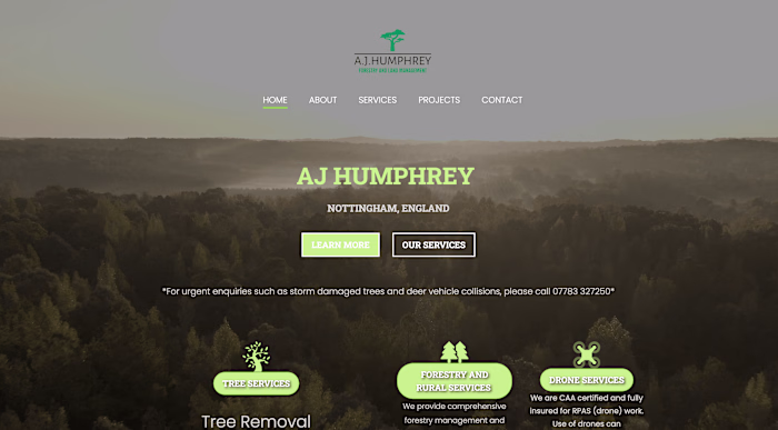 Professional Promotional Website
