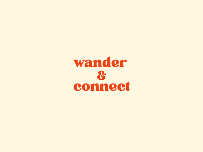 Social Media Strategy for Wander & Connect