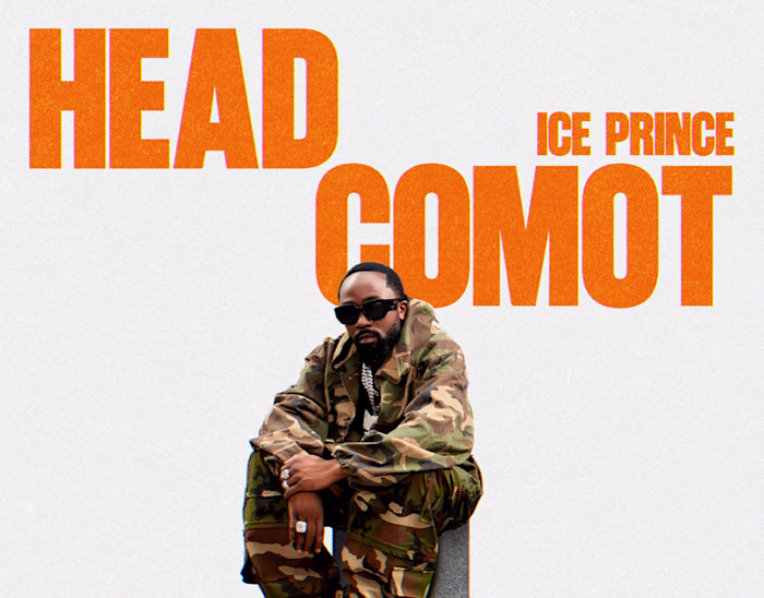 ICE PRINCE - Head Comot Art