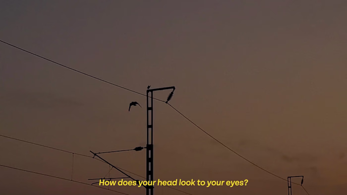 Captivating Visual Production