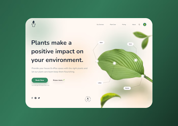 Plant Project 🌱