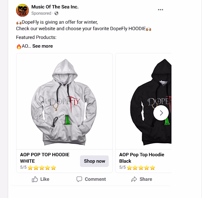 Successfully ran a Facebook Ads
