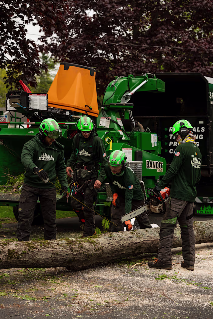 Social Media Photography for TW Tree Care