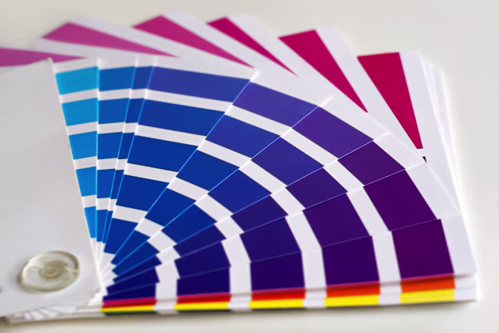 Everything You Should Know Before Choosing A Color Pallete For …