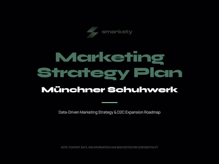 Data-Driven Marketing Strategy for D2C Expansion