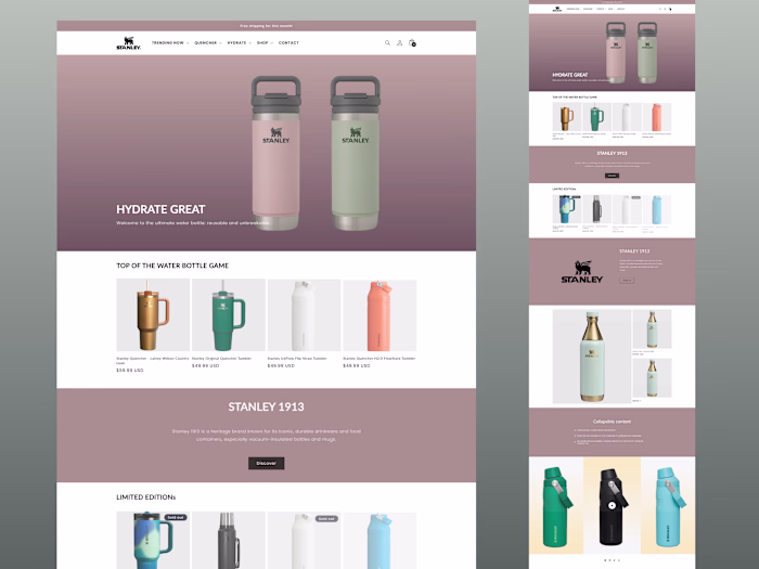  Water Bottle Shopify Store.

Built