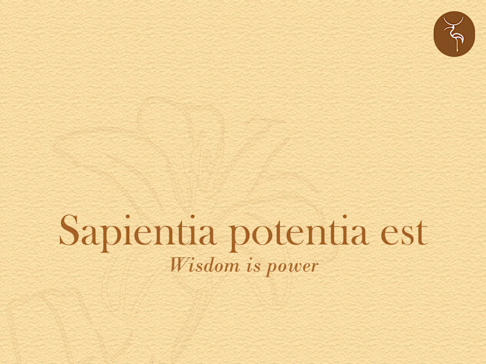 Brand Design  for Hekademia,a Social Media Brand