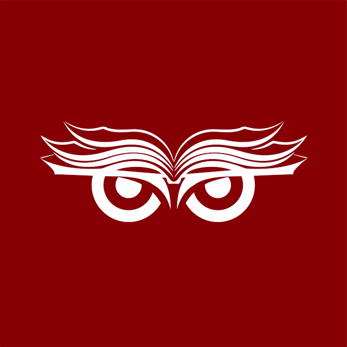 thewiseman Logo Design