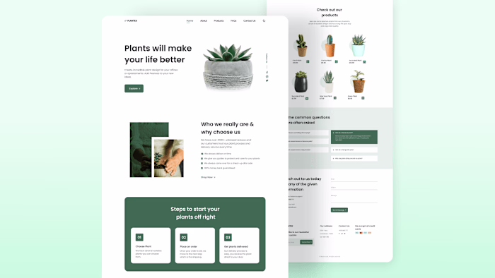 E-Commerce Website's 