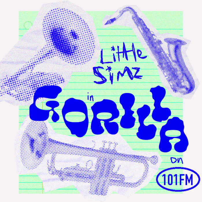 Cover art for "Gorilla" by Little Simz