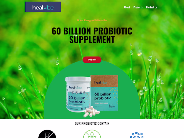 Supplement WordPress Website Design with Elementor & WooCommerce