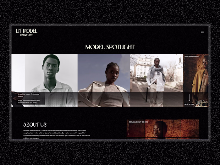 Lit Model Management