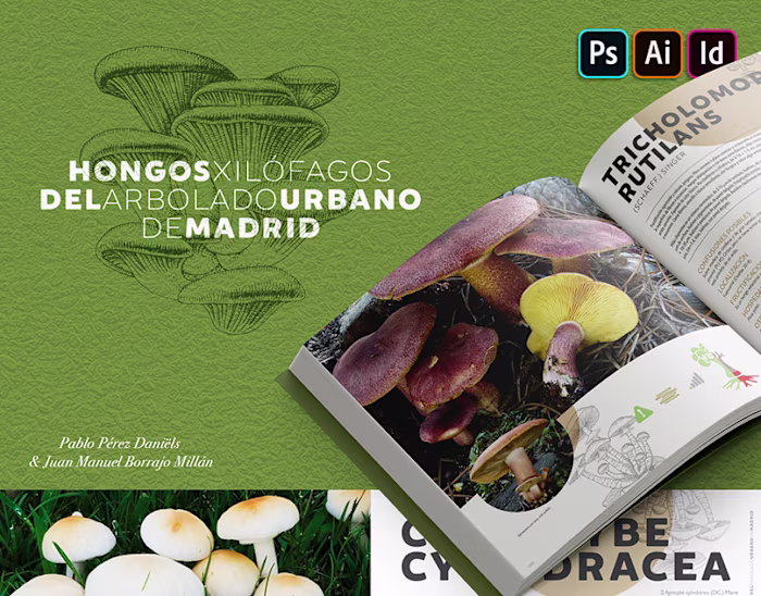 Hongos Xilófagos Book (ESPAÑA)