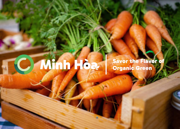 Minh Hoa's Brand Identity - Organic Company