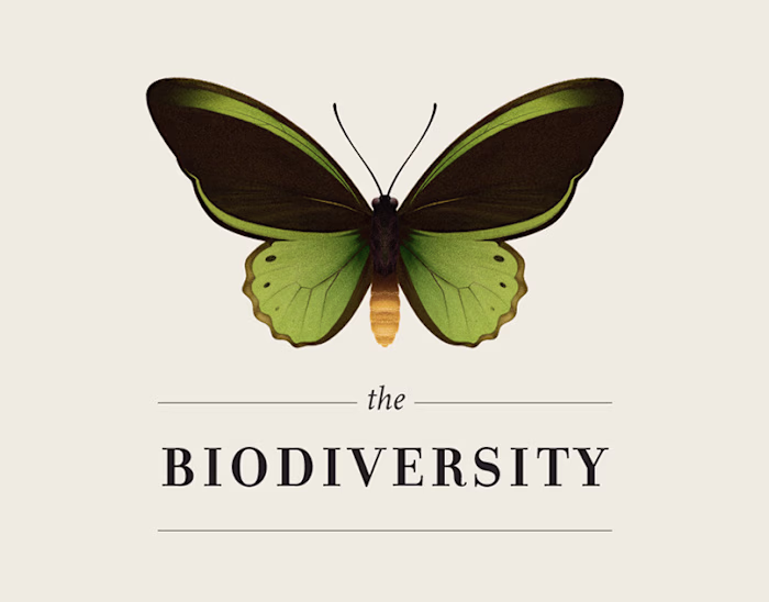 The Biodiversity | Infographic :: Behance