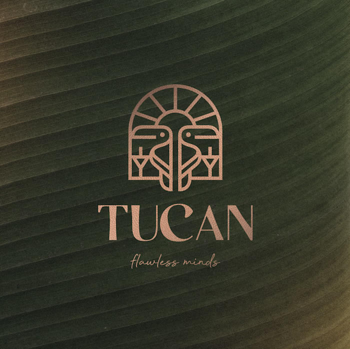 Tucan - Logo Design