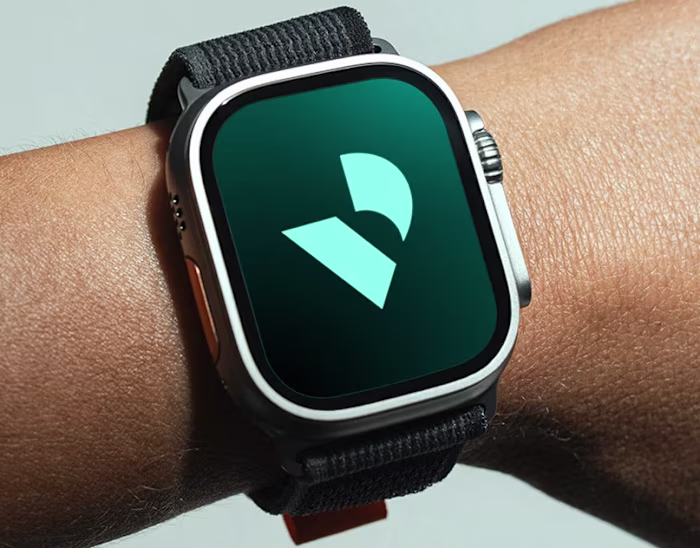 Vinto - Financial Management Platform | Visual Identity