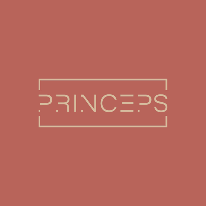 branding + logo
