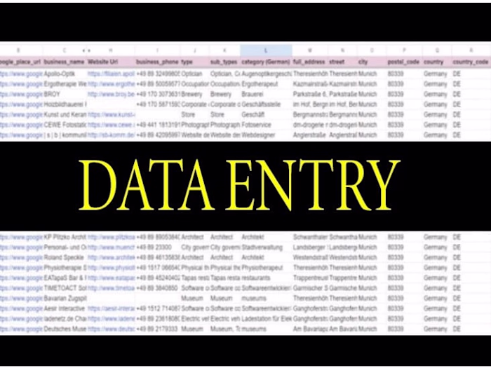 I will be your accurate data entry,web research and convert file