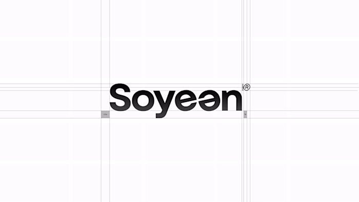 Logo and Visual Identity