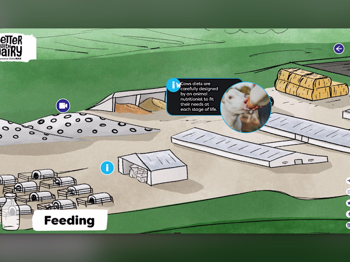 Dairymax Web Experience