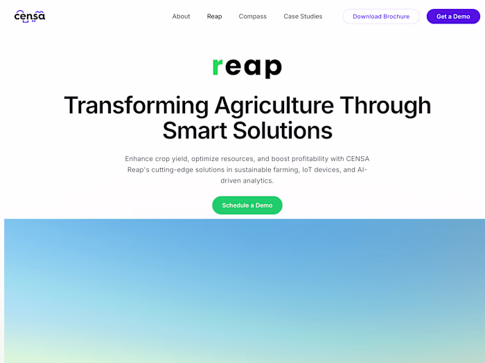 Censa Reap - web design and development 