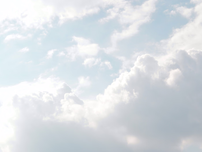 Social Media Management and Brand Building for Virtual Wellness