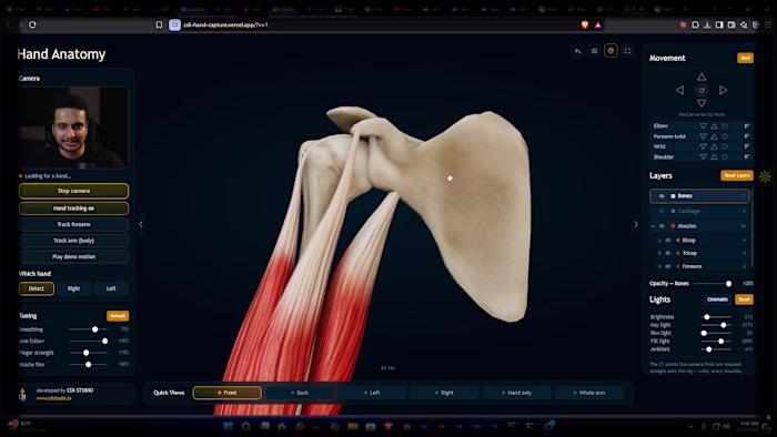 Interactive 3D Shoulder Anatomy: Rotator Cuff, Bones and Nerves