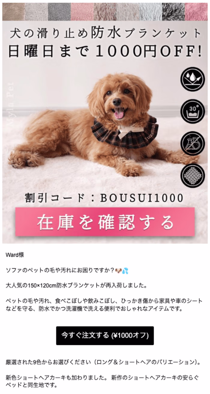High Converting Email Design