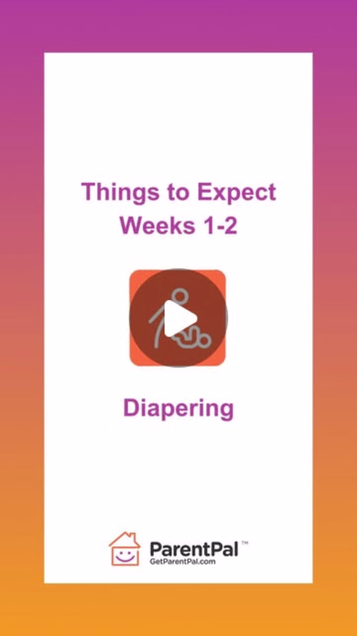 ParentPal Informational Reel