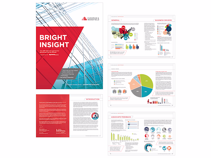 A Bright Insight Into Real Estate Data