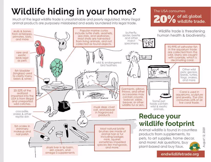 Research and Infographics for Nature Conservation