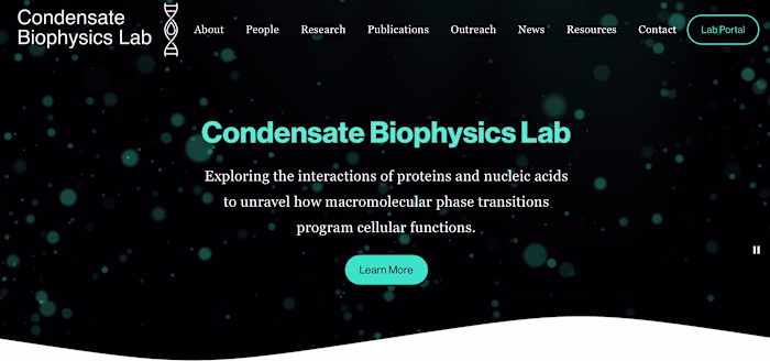 Biophysics Lab Website and Branding
