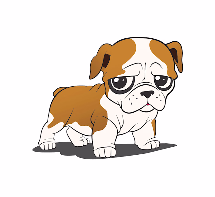 Bulldog Puppy