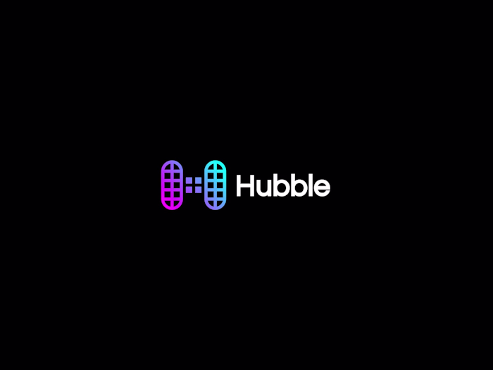 Hubble Protocol Logo Design