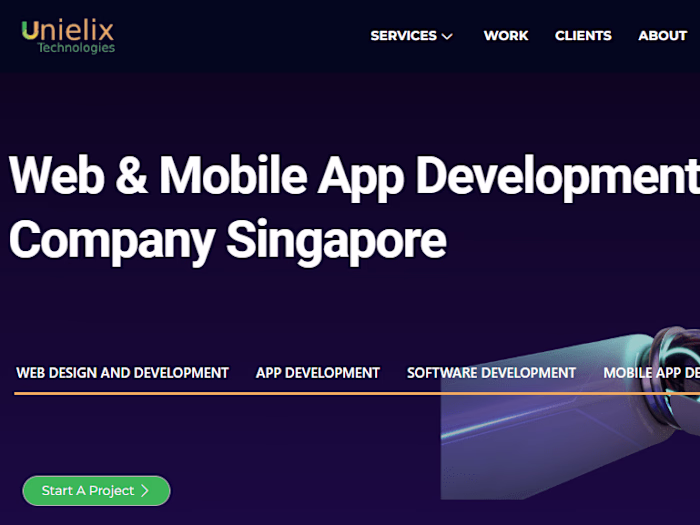 Best Web Development Company Singapore 2024 - App Development C…