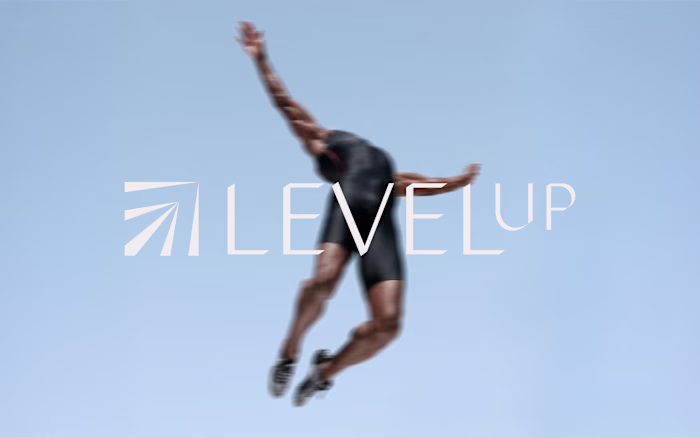 Brand Identity for LEVELUP