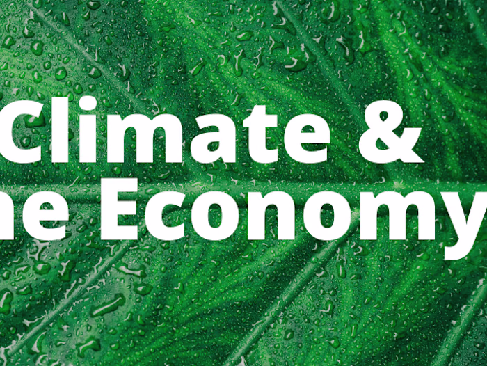 Research Review Paper - Climate Finance