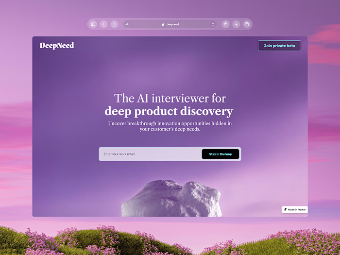 Deepneed Website Development with Framer