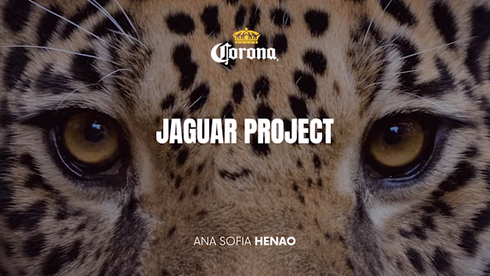 Jaguar Project on Behance