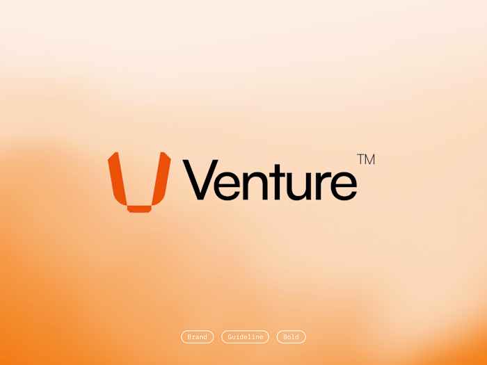 Venture Brand Guidelines: Crafting a Bold Identity