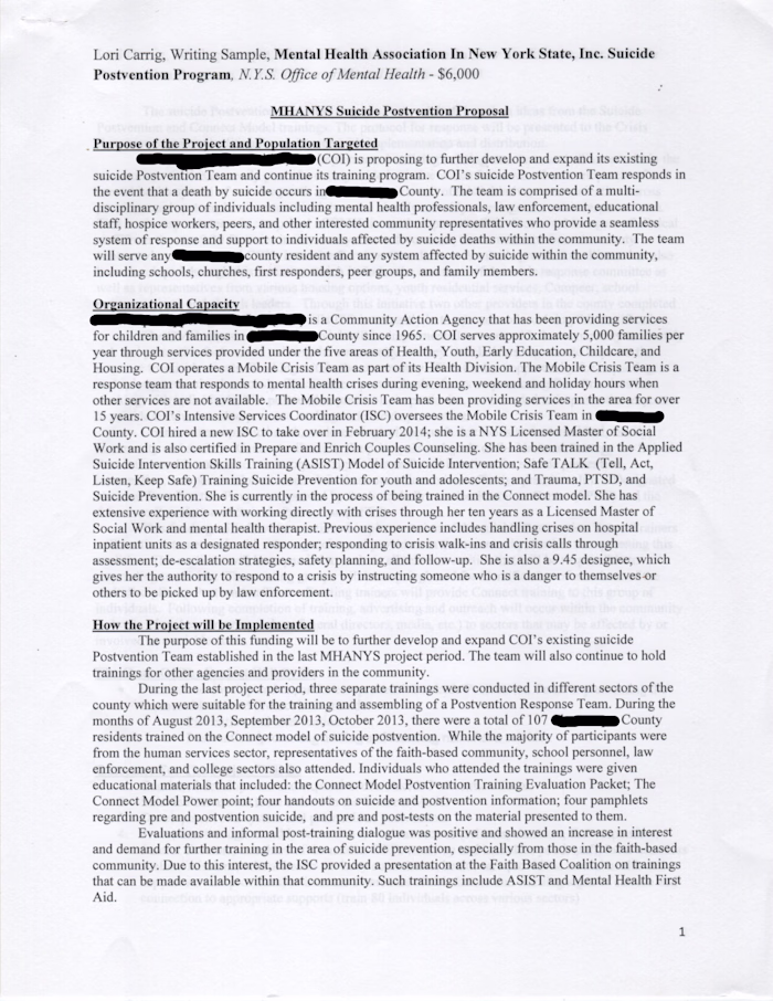 Writing Sample 3 - Grant Application