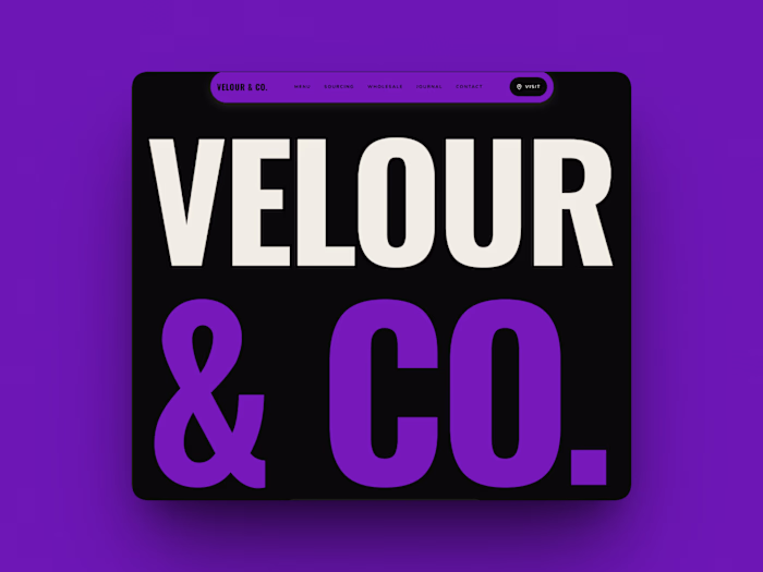 Velour & Co. Framer Template Design