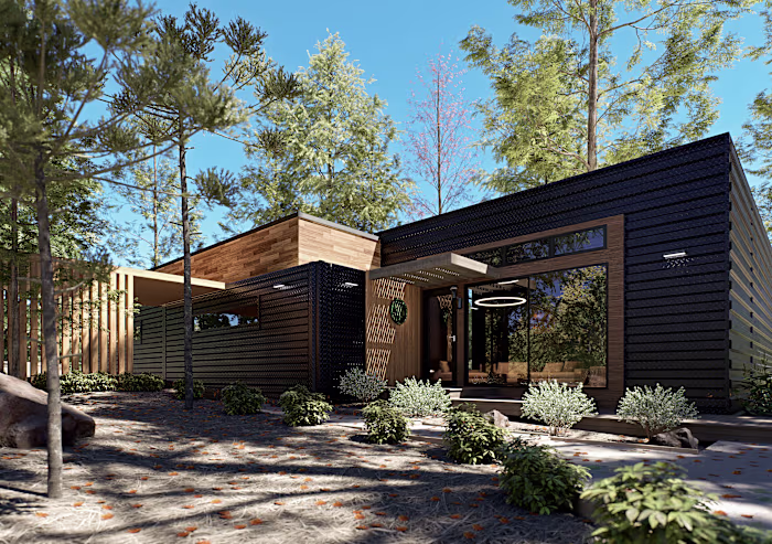 Modern house in the forest
