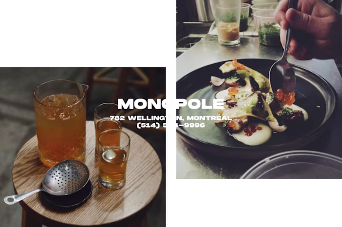 Monopole