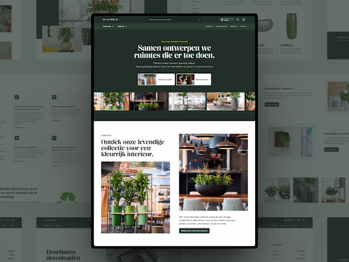 Creating Spaces that Matter. A Dutch Ecommerce project