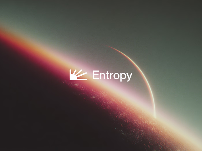 Entropy - Branding