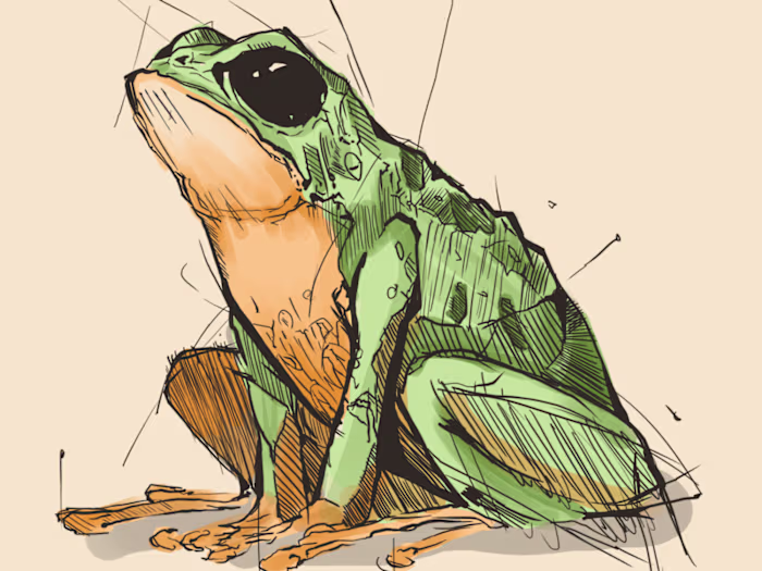 Vontibey's Artworks Samples